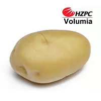 Насіннєва картопля Волюмія