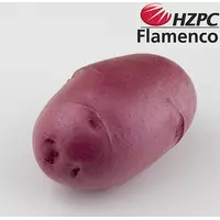 Насіннєва картопля Фламенко